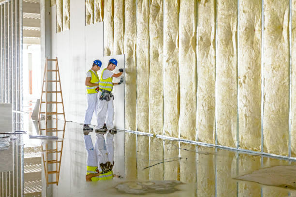 Best Commercial Insulation in Lake Grove, NY